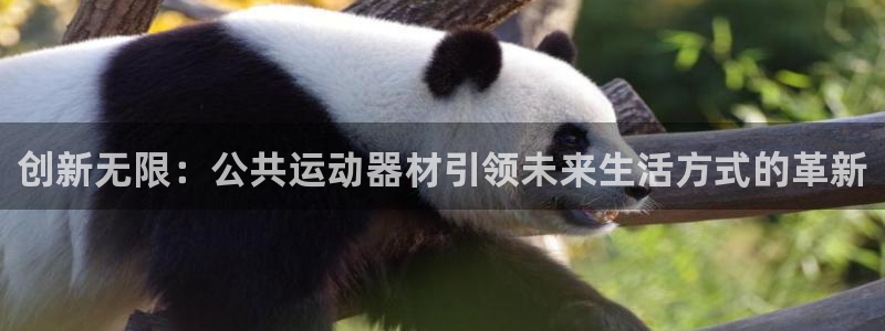 意昂体育5(KGAME)招商电话是多少号码:创新无限:公共运