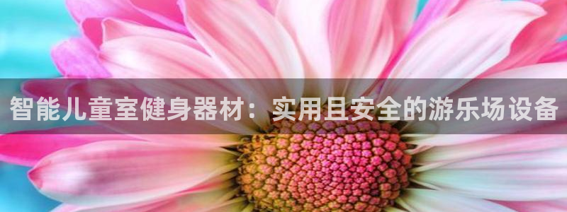 意昂5(KGAME)官方:智能儿童室健身器材:实用且安全的游