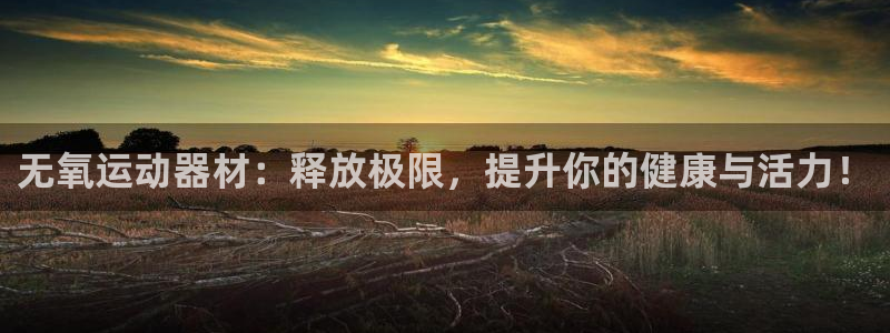 意昂5(KGAME)娱乐代理怎么样:无氧运动器材:释放极限,