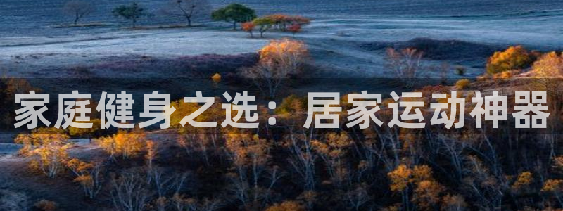 意昂体育5(KGAME)软件:家庭健身之选:居家运动神器