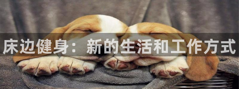意昂体育5(KGAME)招商:床边健身:新的生活和工作方式